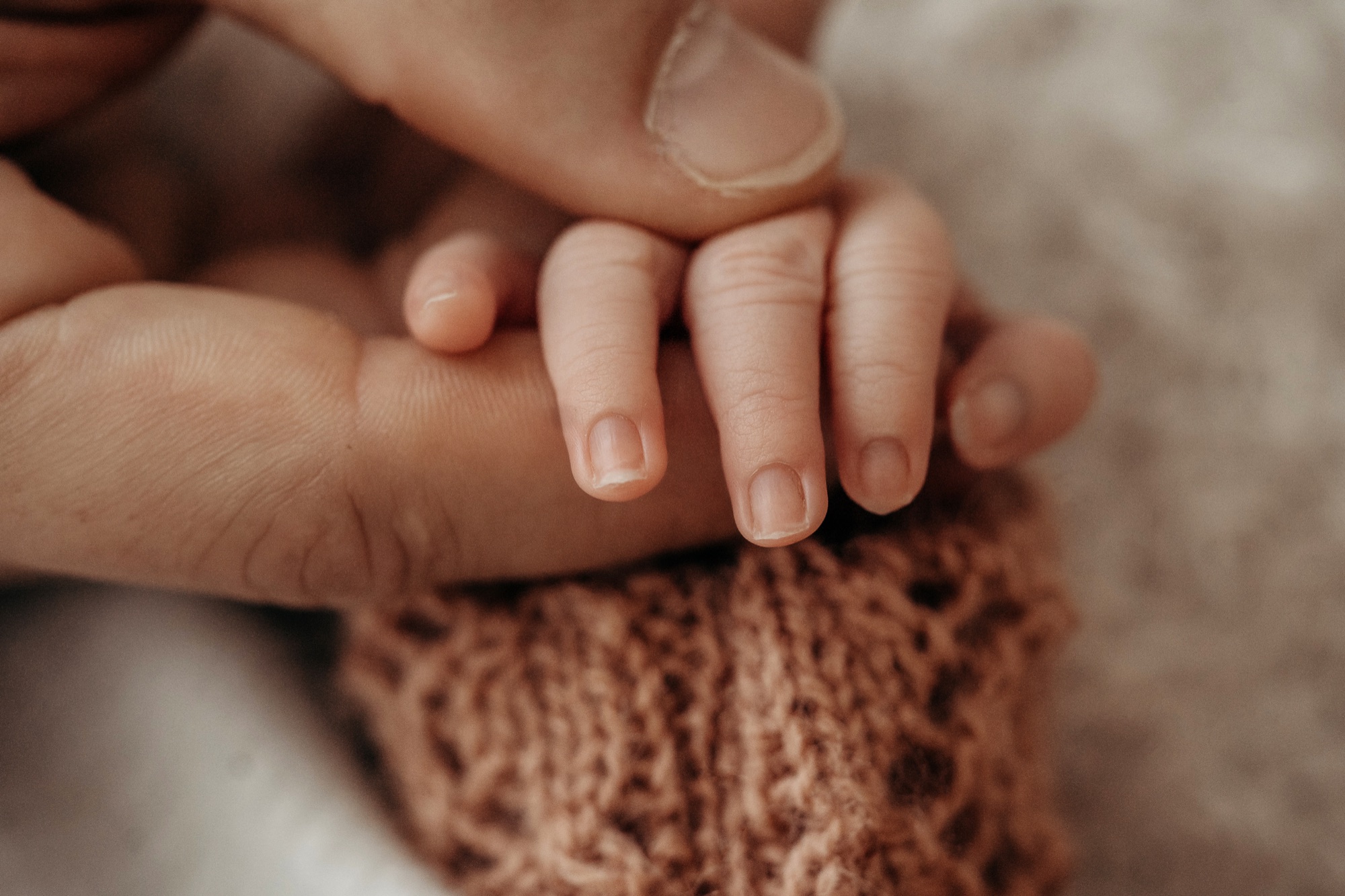 Winzige Babyfinger halten den Finger eines Elternteils